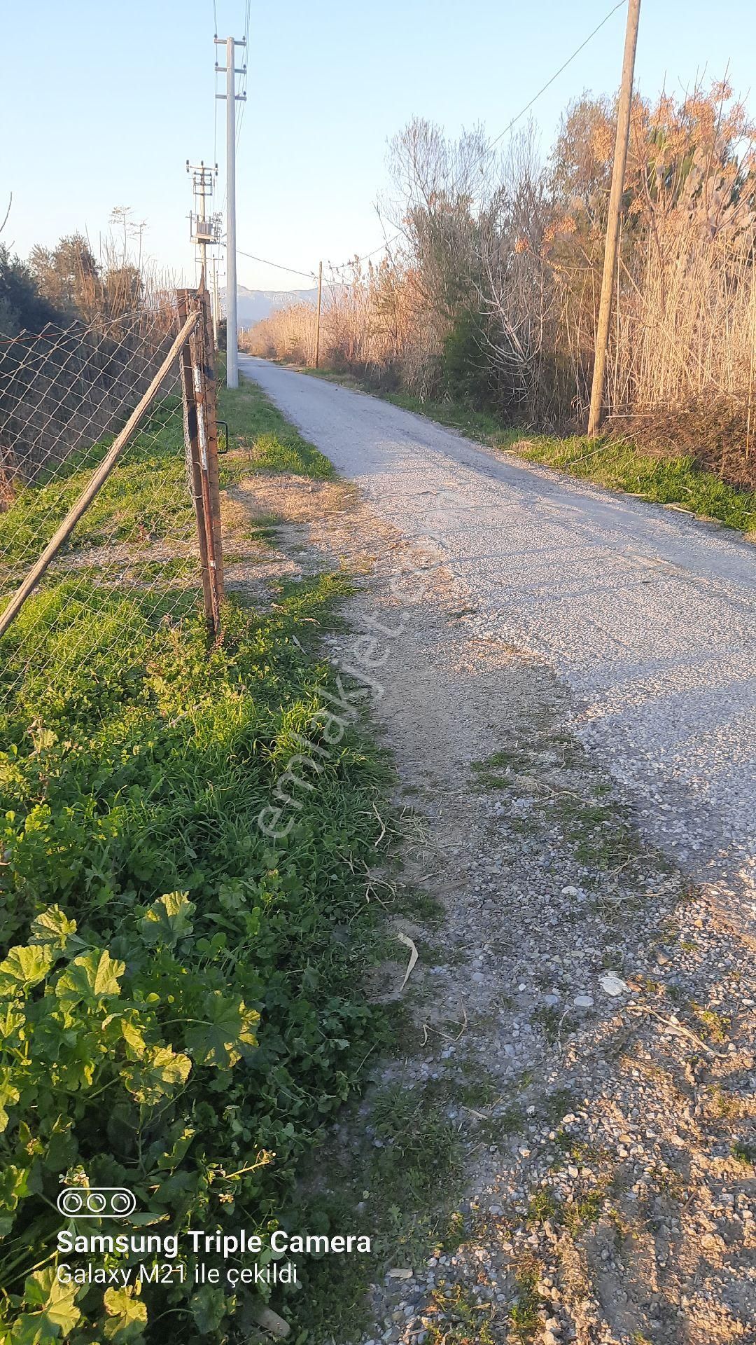 Ortaca Fevziye İçinde 170 Adet Yetişkin Limon Ağacı Bulunan Tarla - Görsel 5