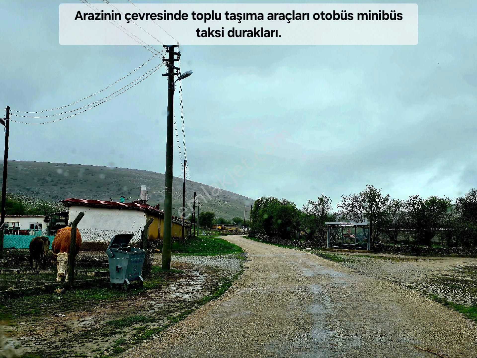 Afyonkarahisar Emirdağ Leylekli'de 6.625 M2 Köyiçi Çift Yollu Çok Güzel Tarla. Açıklamayı Okuyunuz. - Görsel 29