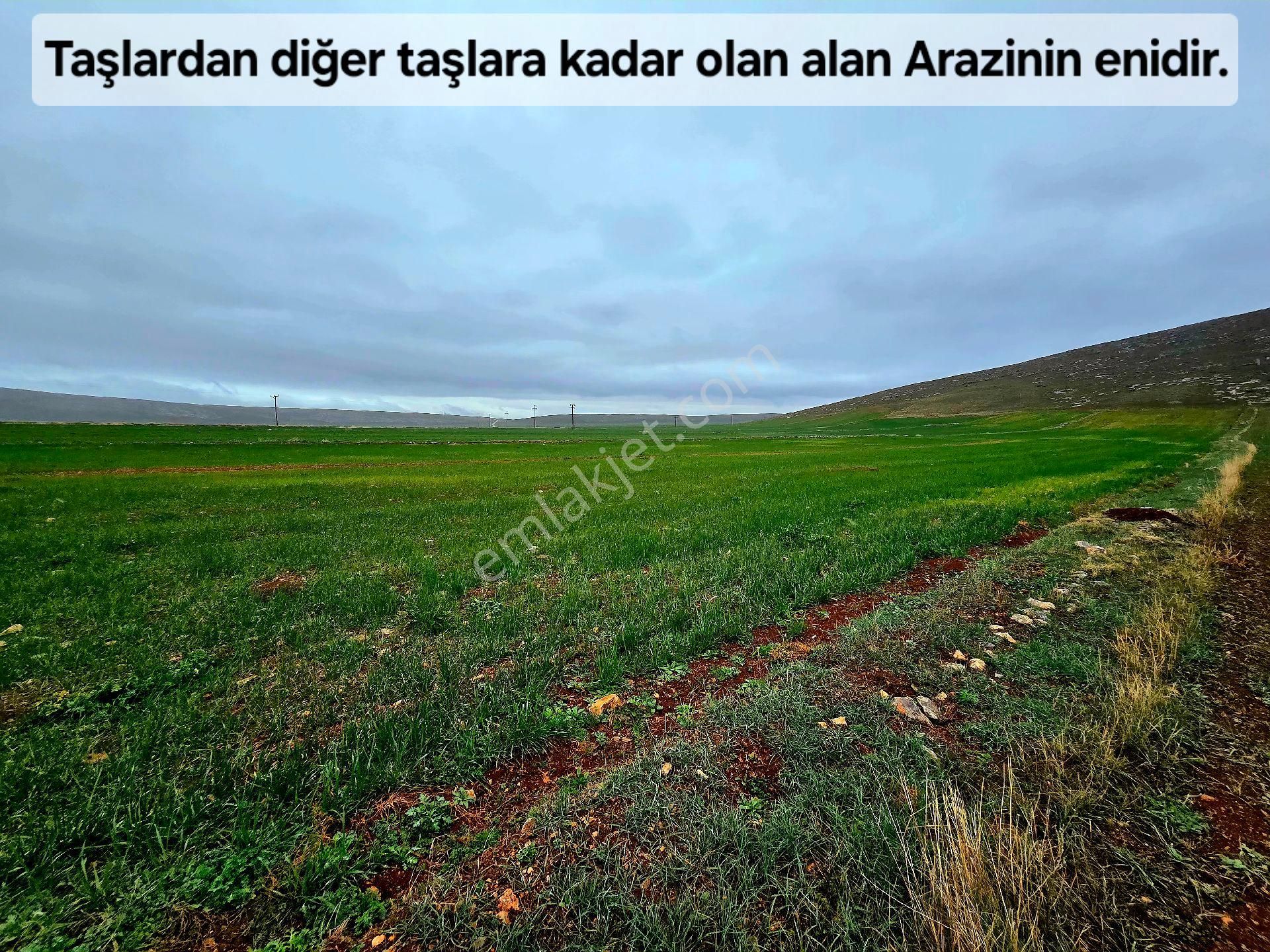 Afyonkarahisar Emirdağ Leylekli'de 6.625 M2 Köyiçi Çift Yollu Çok Güzel Tarla. Açıklamayı Okuyunuz. - Görsel 26