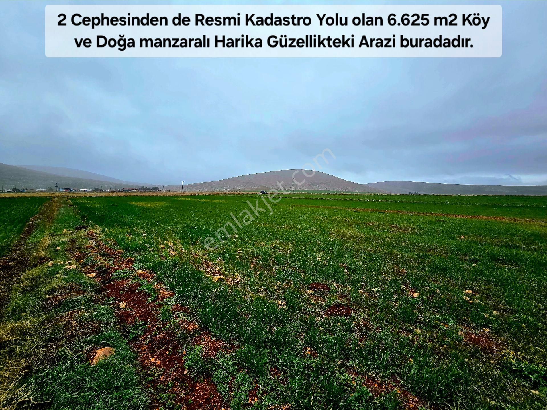 Afyonkarahisar Emirdağ Leylekli'de 6.625 M2 Köyiçi Çift Yollu Çok Güzel Tarla. Açıklamayı Okuyunuz. - Görsel 21