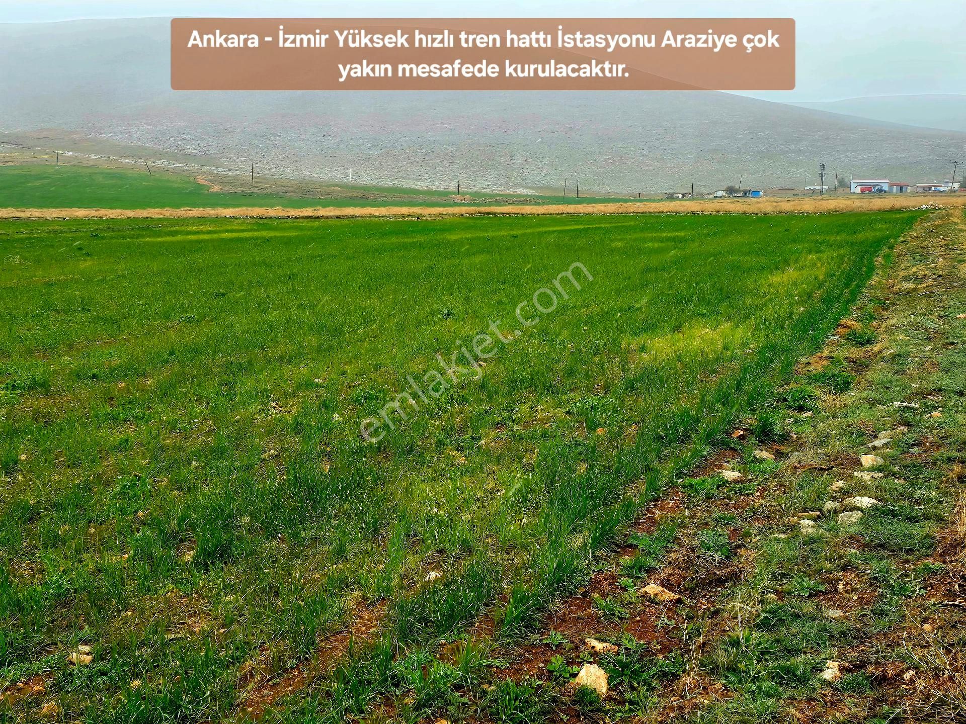 Afyonkarahisar Emirdağ Leylekli'de 6.625 M2 Köyiçi Çift Yollu Çok Güzel Tarla. Açıklamayı Okuyunuz. - Görsel 25