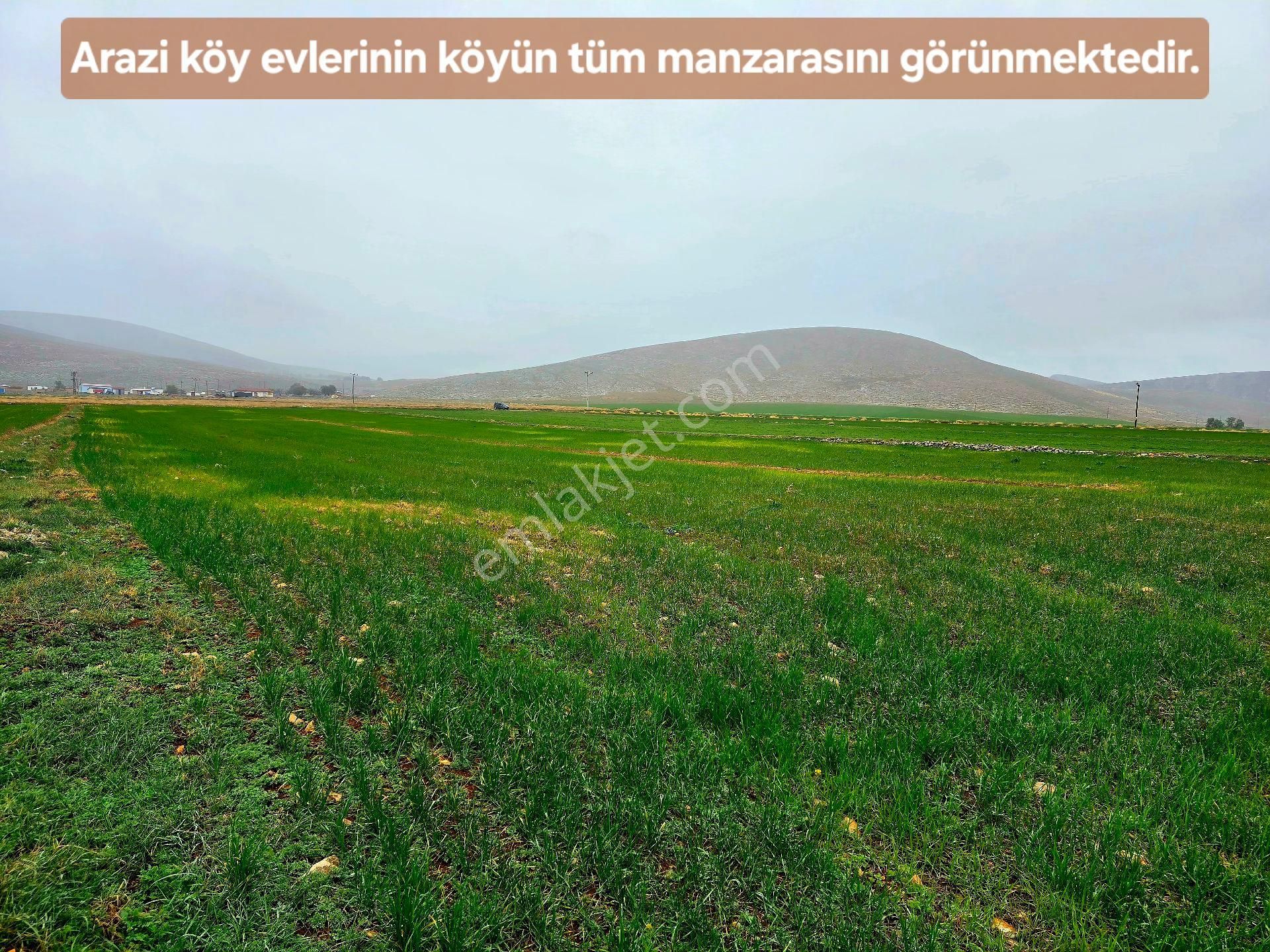 Afyonkarahisar Emirdağ Leylekli'de 6.625 M2 Köyiçi Çift Yollu Çok Güzel Tarla. Açıklamayı Okuyunuz. - Görsel 23