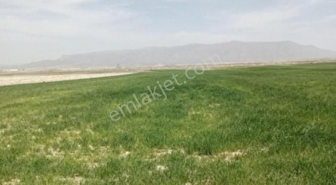 Denizli Çardak'te Geleceğin Yatırım Arazisi! Fırsatı - Görsel 24