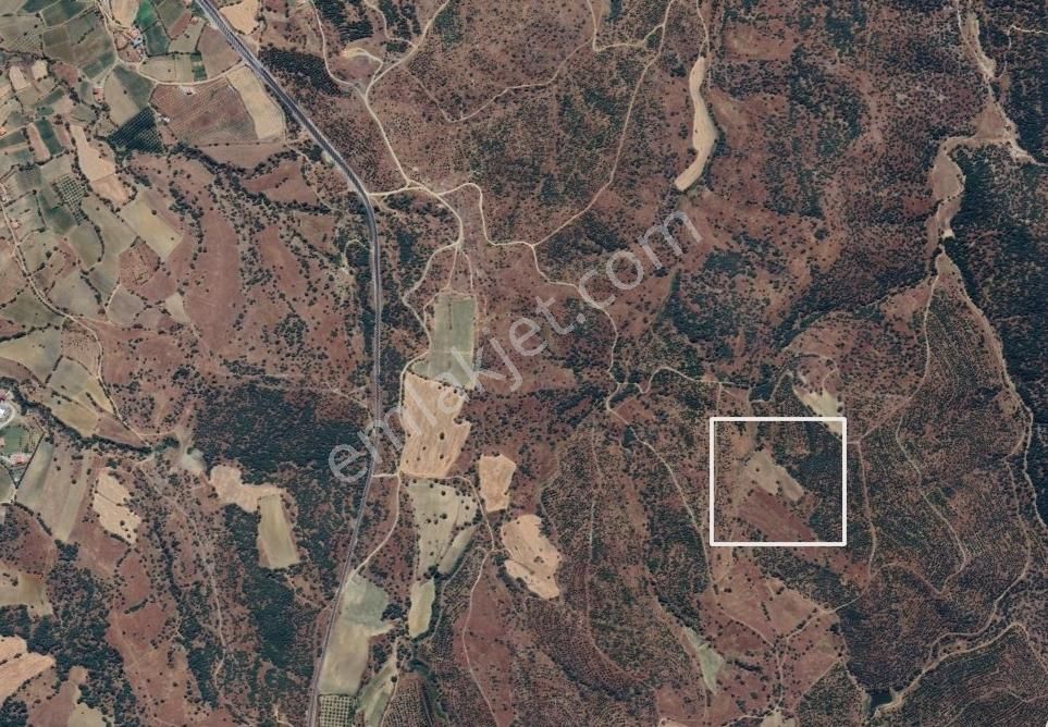 Cebini Yakmayan Kazandıran Fırsat Sizlerle Eşme Satılık Tarla - Görsel 3
