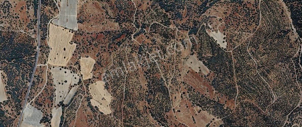 Cebini Yakmayan Kazandıran Fırsat Sizlerle Eşme Satılık Tarla - Görsel 2