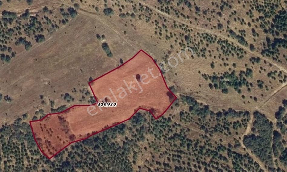 Cebini Yakmayan Kazandıran Fırsat Sizlerle Eşme Satılık Tarla