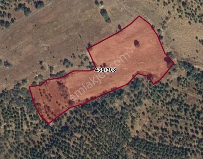 Cebini Yakmayan Kazandıran Fırsat Sizlerle Eşme Satılık Tarla - Görsel 11