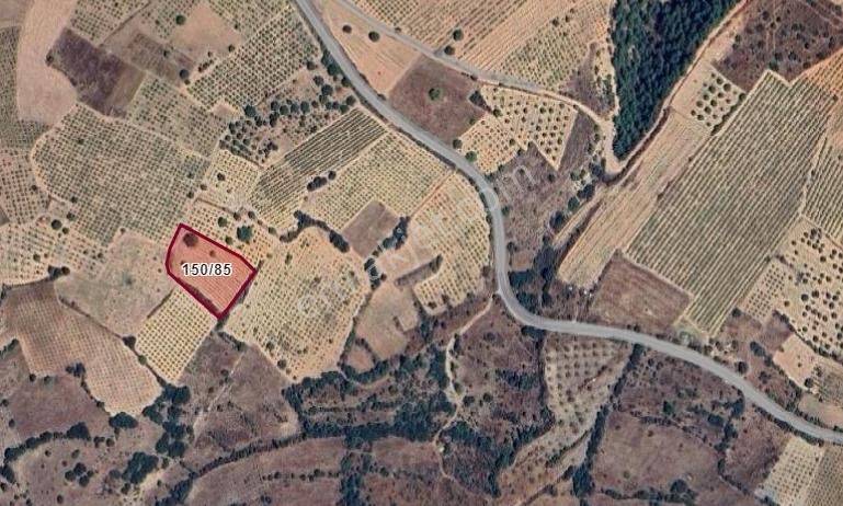 Denizli Çal Satılık Tarla Yatırımcıya Altın Fırsat Bütçe Dostu - Görsel 30