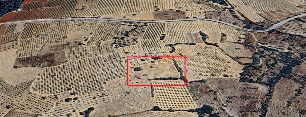 Denizli Çal Satılık Tarla Yatırımcıya Altın Fırsat Bütçe Dostu - Görsel 24