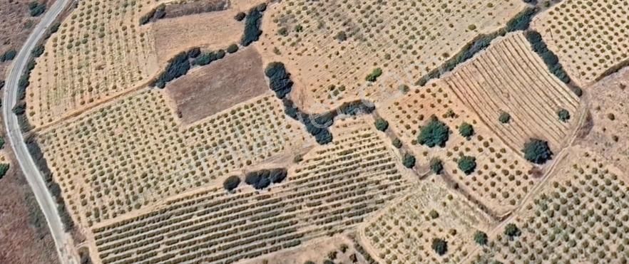 Denizli Çal Satılık Tarla Yatırımcıya Altın Fırsat Bütçe Dostu - Görsel 10