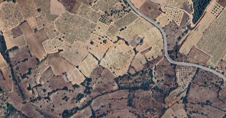 Denizli Çal Satılık Tarla Yatırımcıya Altın Fırsat Bütçe Dostu - Görsel 17