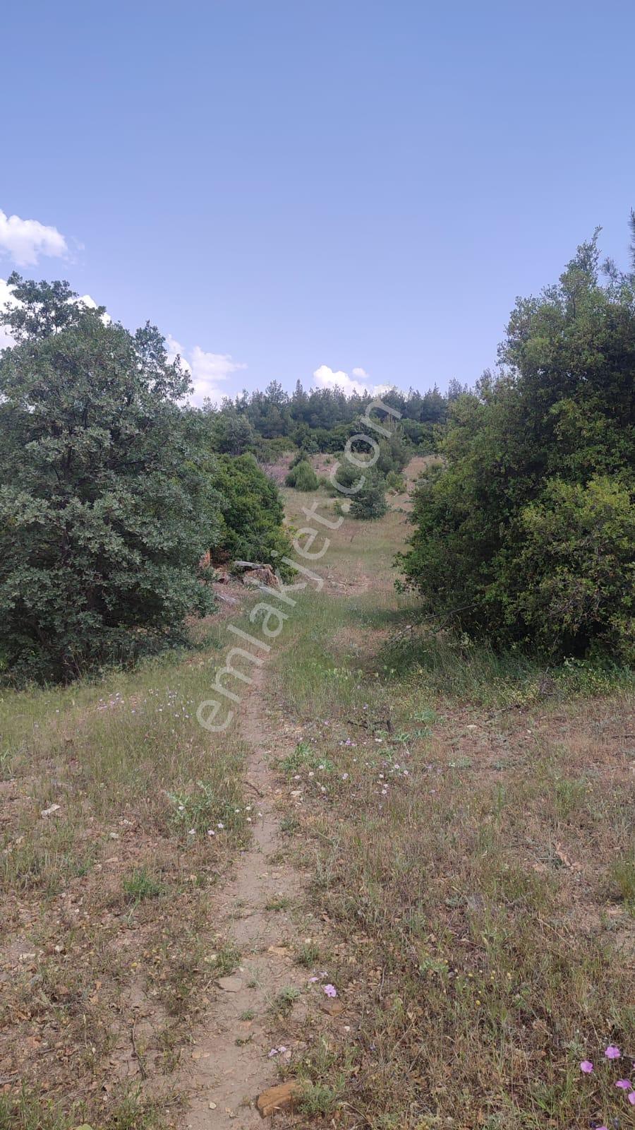 💎 Toprağa Yatırım Yapan Kazanır! #denizli Kaçırılmayacak Müstakil Tapu Tarla - Görsel 19