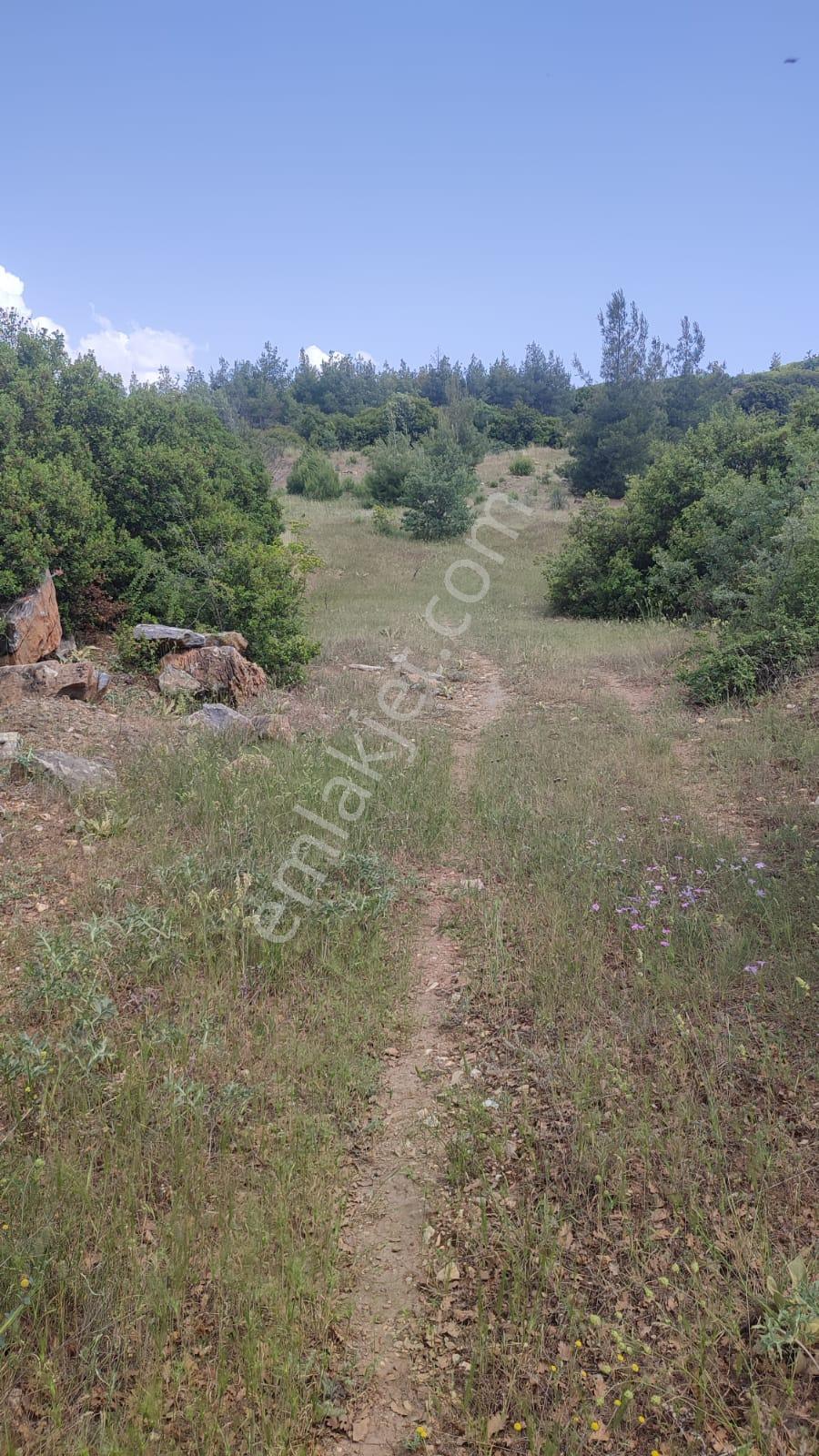 💎 Toprağa Yatırım Yapan Kazanır! #denizli Kaçırılmayacak Müstakil Tapu Tarla - Görsel 31