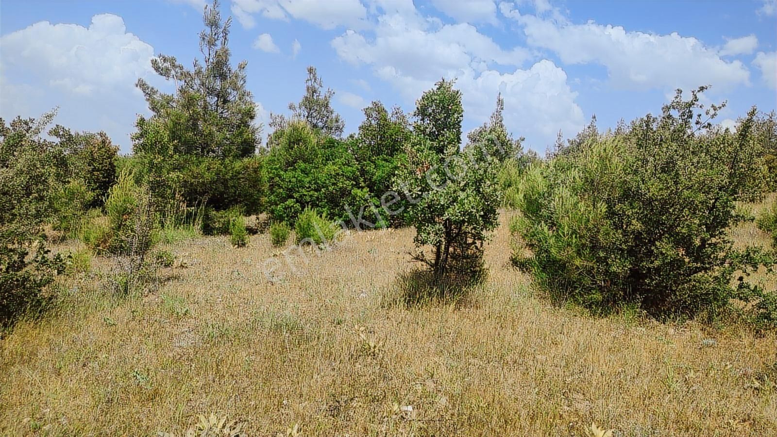 Denizli Çal Bölgenin En Cazip Fiyat Garantisi İle Satılık Tarla - Görsel 15