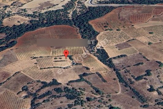 Denizli Çal İlçesi Kuyucak Mahallesi’nde Yatırımlık Satılık Tarla - Görsel 25
