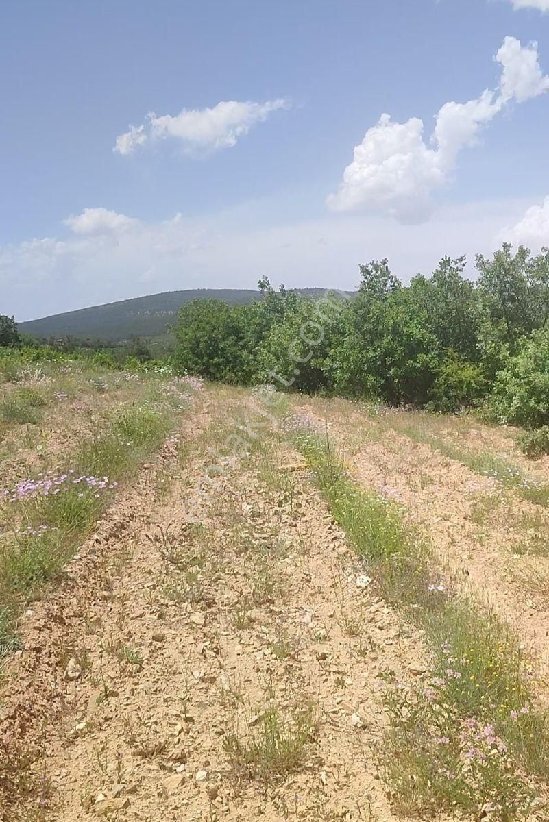 Denizli Çal İlçesi Kuyucak Mahallesi’nde Yatırımlık Satılık Tarla - Görsel 19