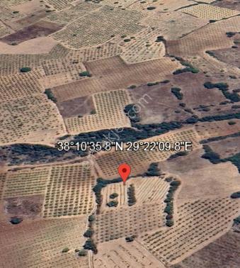 Ekonomik Tarla Fırsatı “bölgenin En Mantıklı Yatırımı ” - Görsel 34