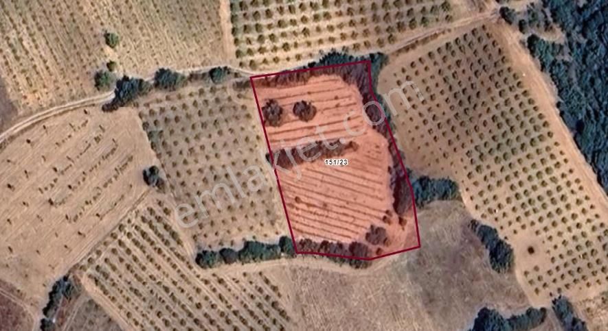Denizli Çal İlçesi Kuyucak Mahallesi’nde Yatırımlık Satılık Tarla - Görsel 22