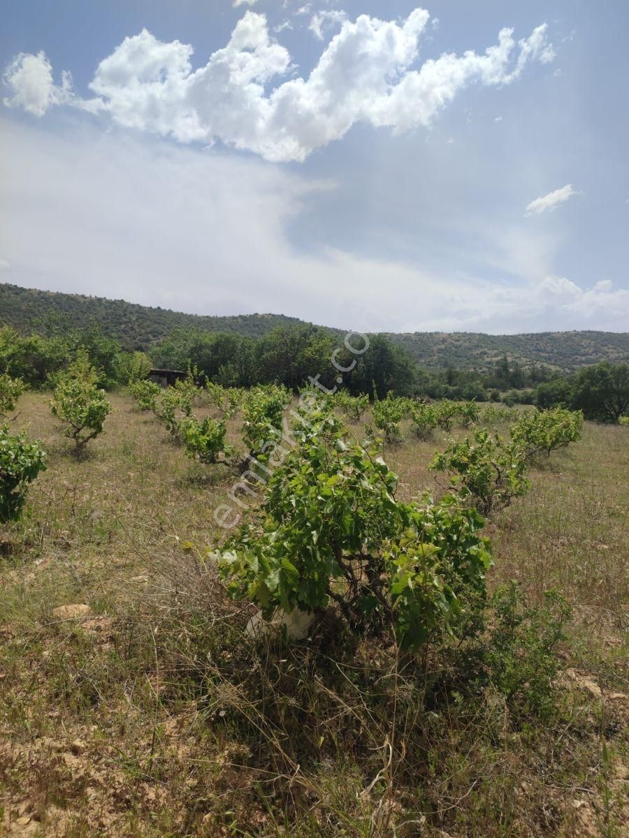 Denizli Çal İlçesi Kuyucak Mahallesi’nde Yatırımlık Satılık Tarla - Görsel 15