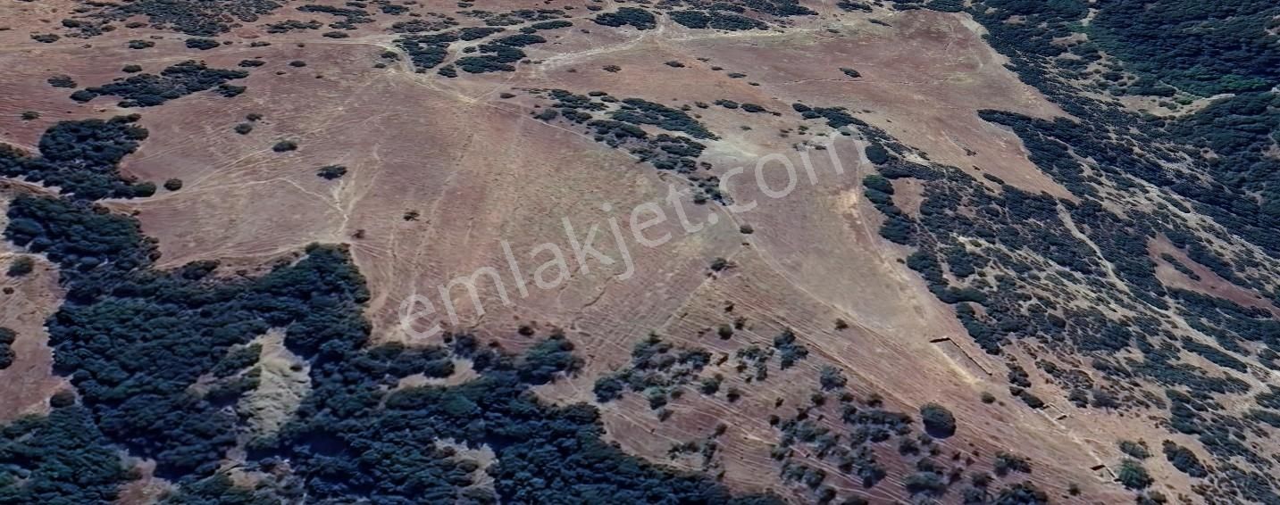 Düşük Bütçe İle Yatırım Yapmak İsteyenlere Uşak Eşme'de Tarla - Görsel 4