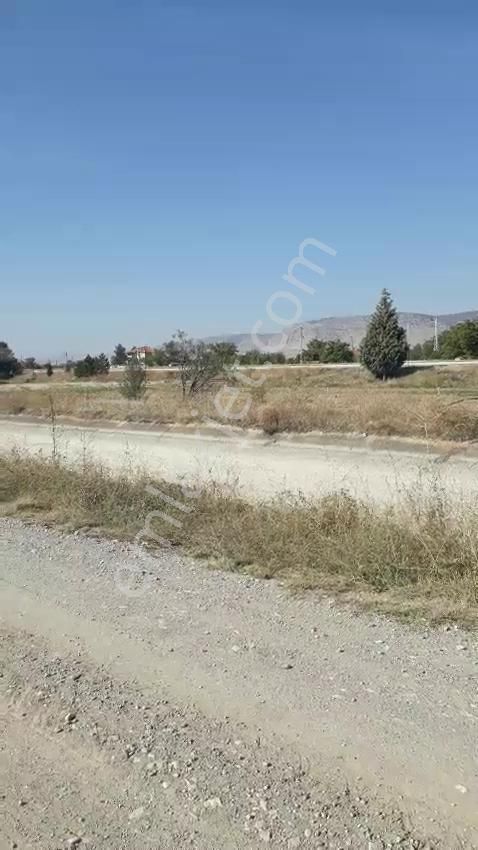- Kadastro Yolu Ve Sulama İmkânı Olan Verimli Tarla Çivril - Görsel 2