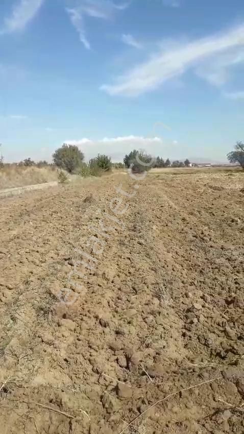 - Kadastro Yolu Ve Sulama İmkânı Olan Verimli Tarla Çivril - Görsel 12