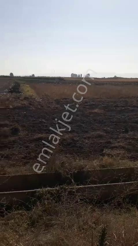 - Kadastro Yolu Ve Sulama İmkânı Olan Verimli Tarla Çivril - Görsel 24