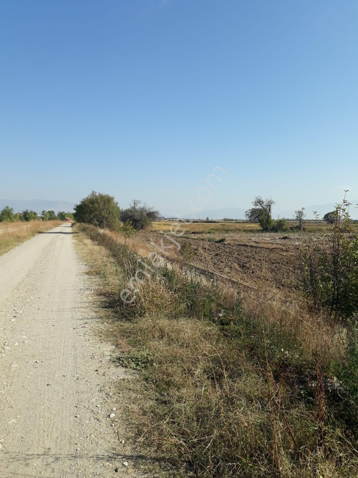 - Kadastro Yolu Ve Sulama İmkânı Olan Verimli Tarla Çivril