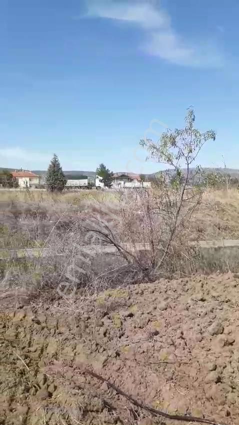- Kadastro Yolu Ve Sulama İmkânı Olan Verimli Tarla Çivril - Görsel 32