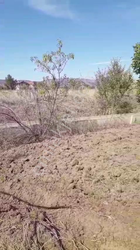 - Kadastro Yolu Ve Sulama İmkânı Olan Verimli Tarla Çivril - Görsel 16