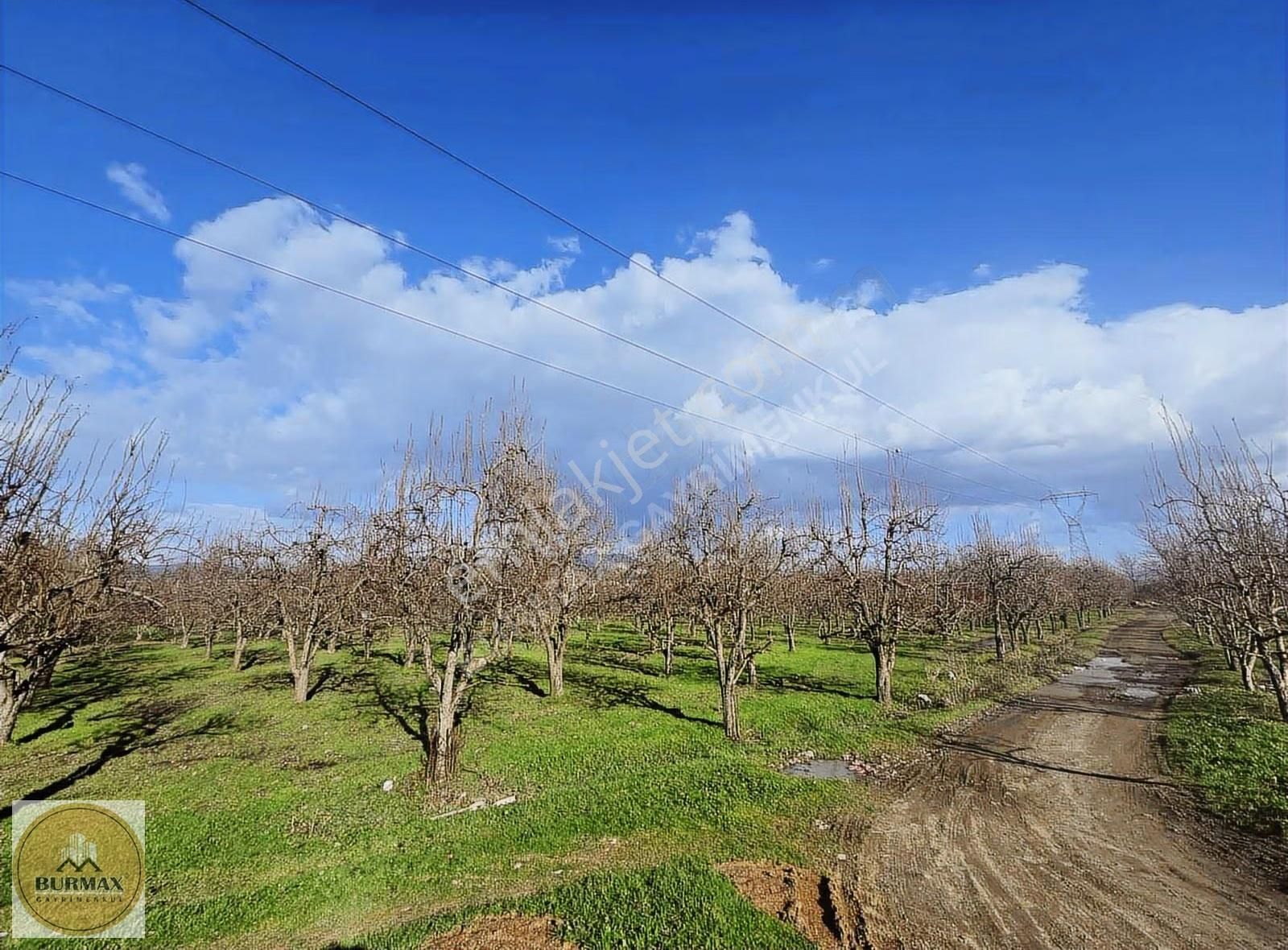 Burmax Gayrimenkul'den Vakıf Mahallesi'nde Şeftali Bahçesi
