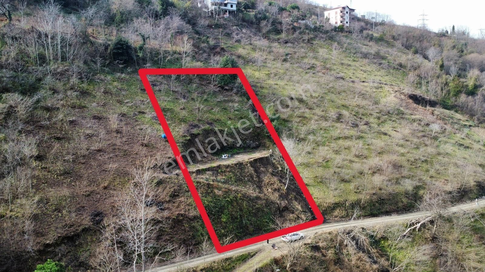 Trabzon Akçaabat Mersinde Satılık Arazi