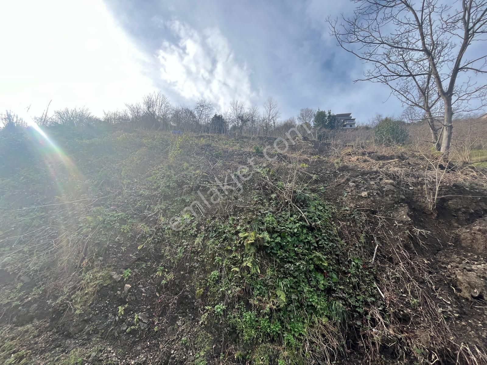 Trabzon Akçaabat Mersinde Satılık Arazi - Görsel 10