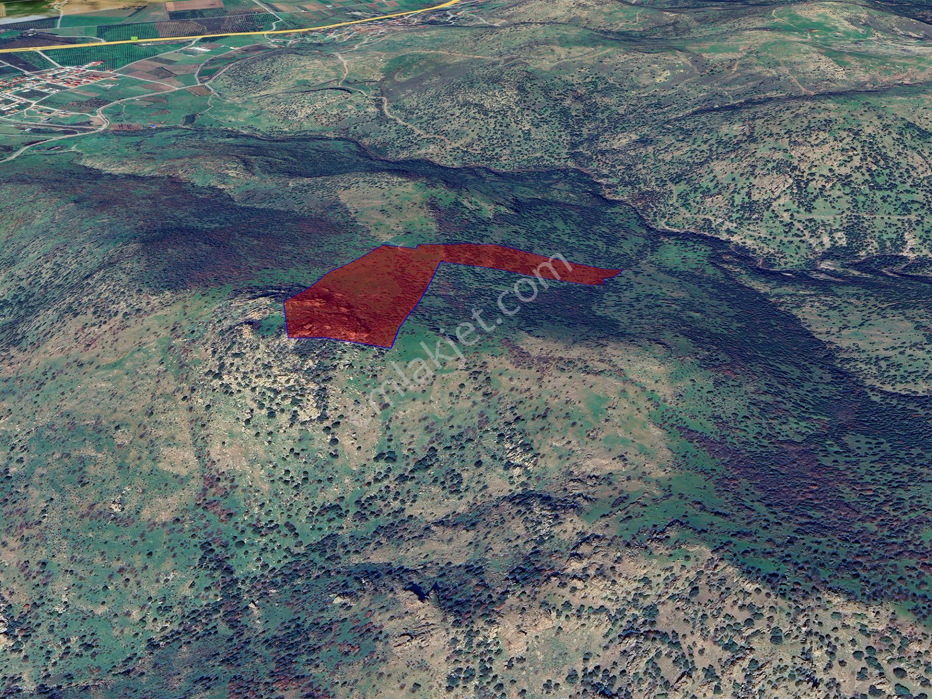 Izmır Dıkılı Kıratlı'da 80 Dönüm Denız Ve Adalar Manzaralı Satılık Zeytınlık & Palamutluk - Görsel 15