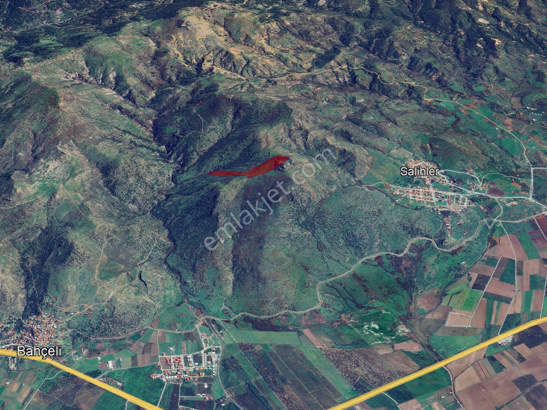 Izmır Dıkılı Kıratlı'da 80 Dönüm Denız Ve Adalar Manzaralı Satılık Zeytınlık & Palamutluk - Görsel 26