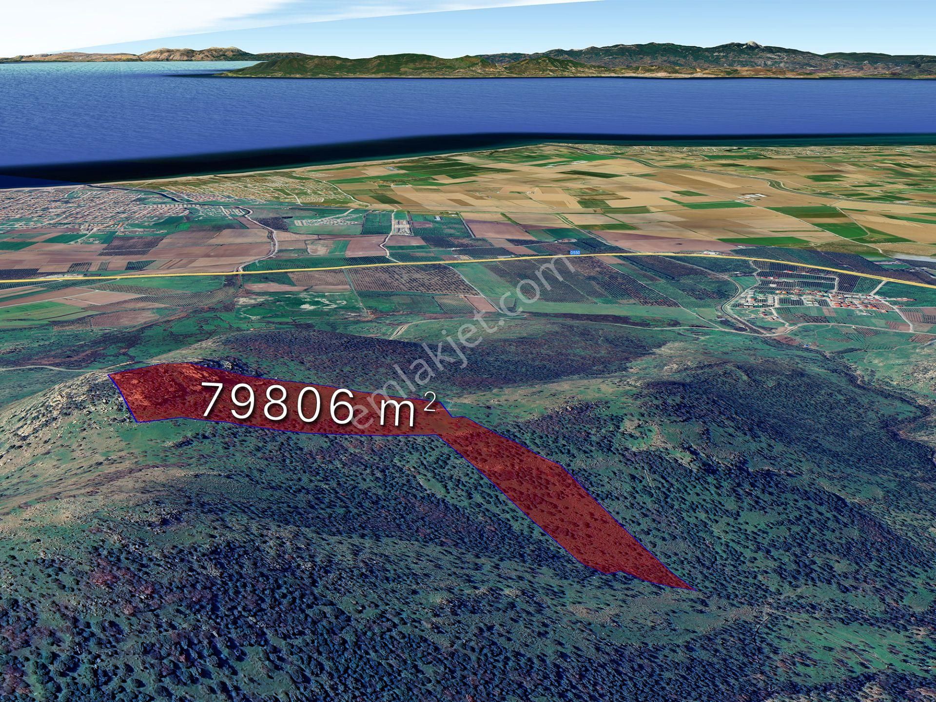 Izmır Dıkılı Kıratlı'da 80 Dönüm Denız Ve Adalar Manzaralı Satılık Zeytınlık & Palamutluk