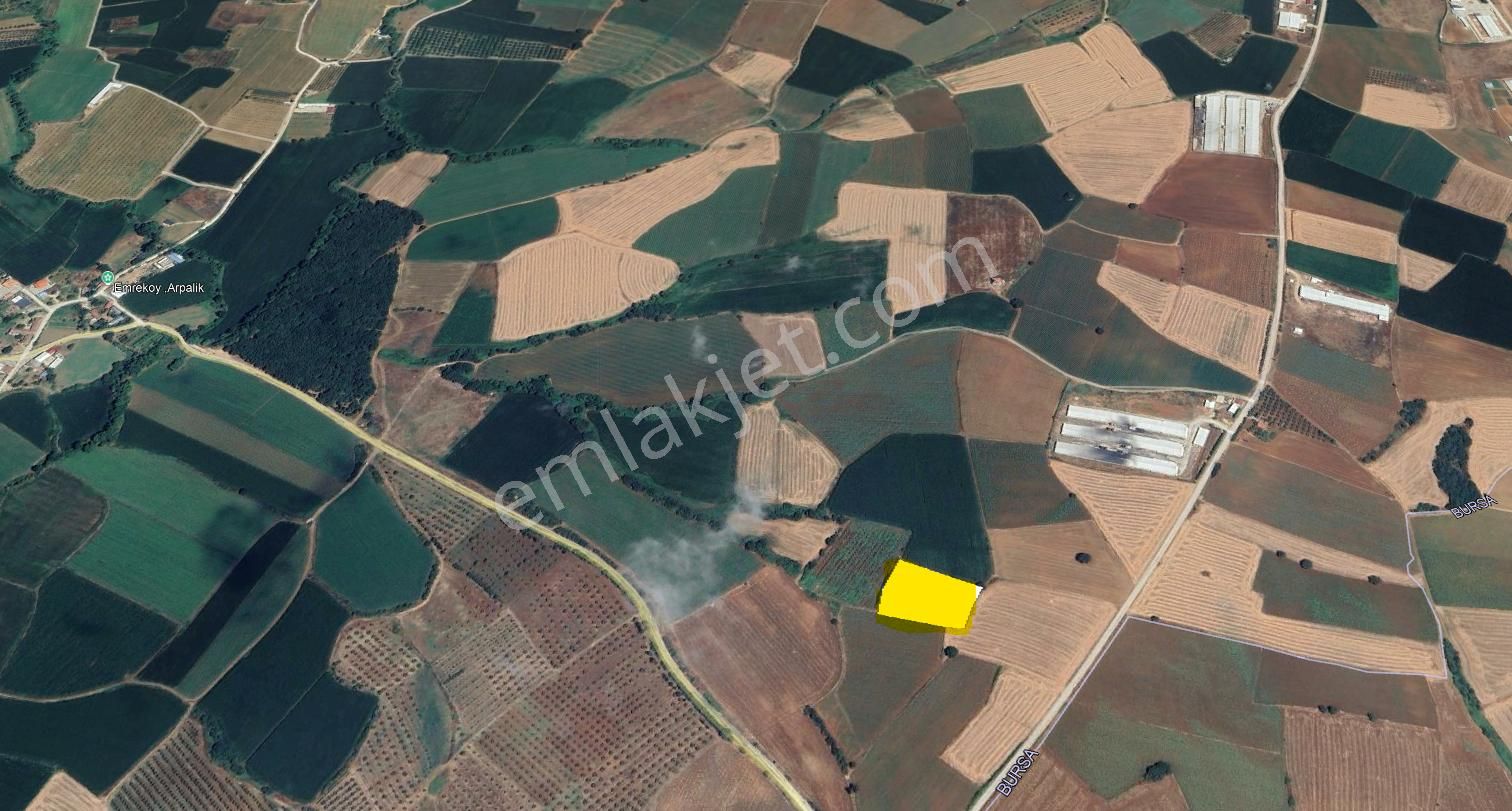 Bandırma Emre Köy’de 5.100 M² Yatırımlık Arsa – Kaçmaz Fırsat! - Görsel 10