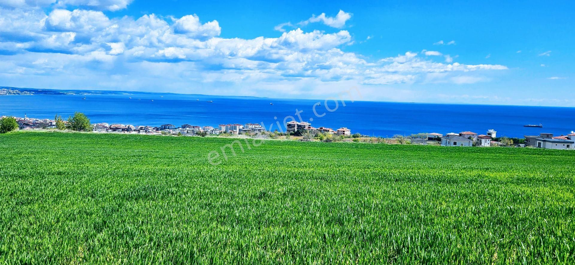 Tamamen Full Deniz Doğa Ve Şehir Manzaralı 44 Dairelik Kooparetif Ve Site Projesine Uygun Arsa - Görsel 25