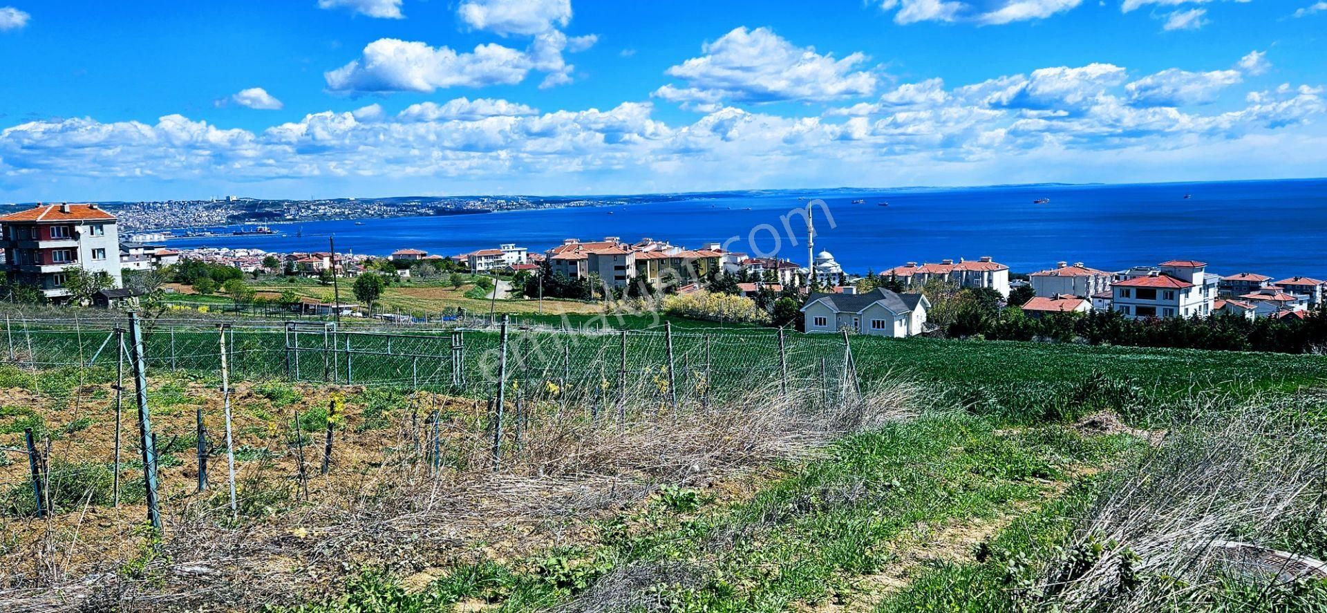 Tamamen Full Deniz Doğa Ve Şehir Manzaralı 44 Dairelik Kooparetif Ve Site Projesine Uygun Arsa