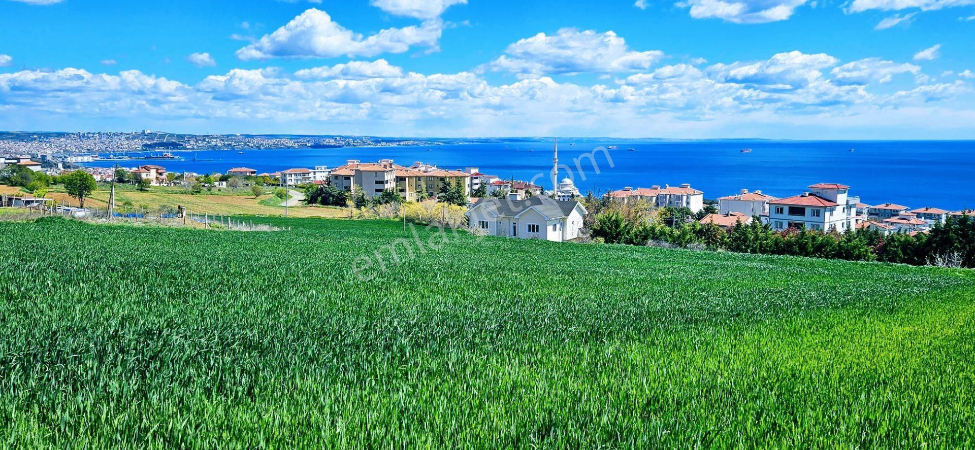 Tamamen Full Deniz Doğa Ve Şehir Manzaralı 44 Dairelik Kooparetif Ve Site Projesine Uygun Arsa - Görsel 11