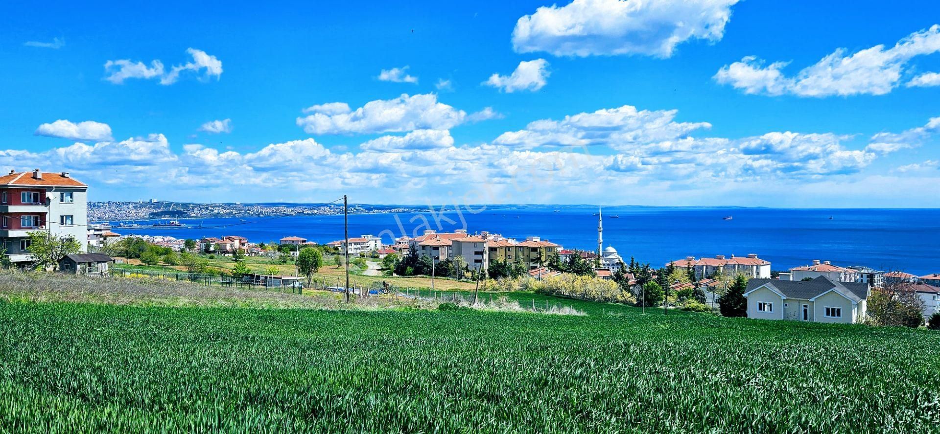 Tamamen Full Deniz Doğa Ve Şehir Manzaralı 44 Dairelik Kooparetif Ve Site Projesine Uygun Arsa - Görsel 15