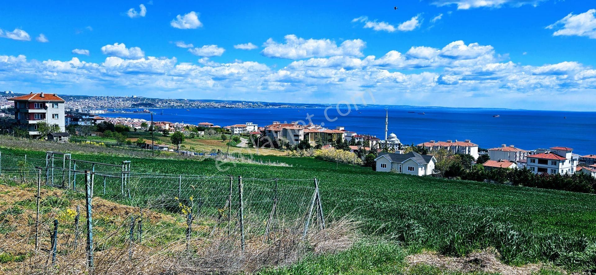 Tamamen Full Deniz Doğa Ve Şehir Manzaralı 44 Dairelik Kooparetif Ve Site Projesine Uygun Arsa - Görsel 8