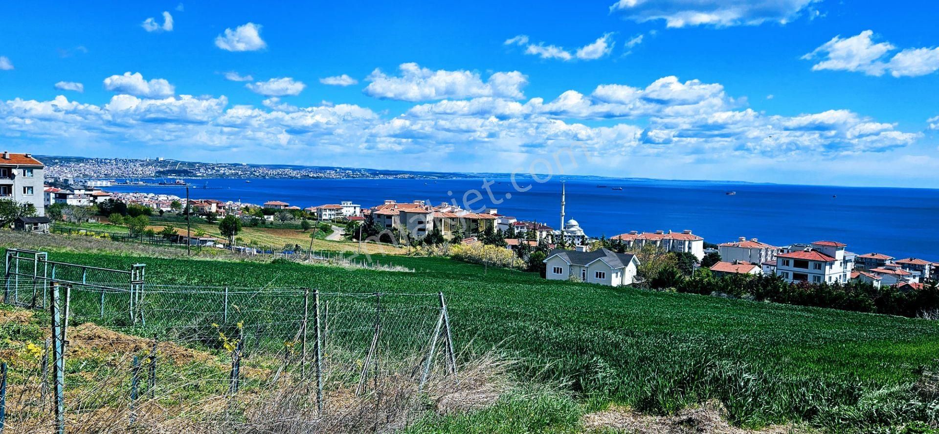 Tamamen Full Deniz Doğa Ve Şehir Manzaralı 44 Dairelik Kooparetif Ve Site Projesine Uygun Arsa - Görsel 3