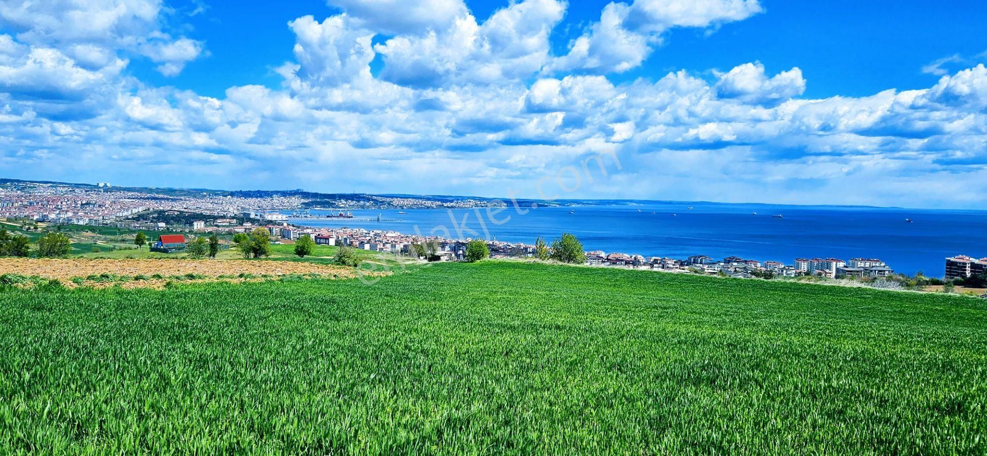 Tamamen Full Deniz Doğa Ve Şehir Manzaralı 44 Dairelik Kooparetif Ve Site Projesine Uygun Arsa - Görsel 26