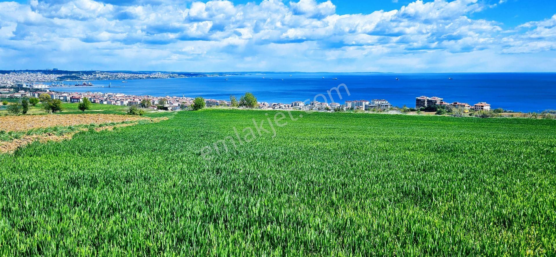 Tamamen Full Deniz Doğa Ve Şehir Manzaralı 44 Dairelik Kooparetif Ve Site Projesine Uygun Arsa - Görsel 23