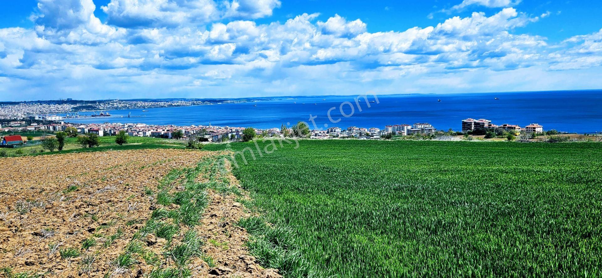 Tamamen Full Deniz Doğa Ve Şehir Manzaralı 44 Dairelik Kooparetif Ve Site Projesine Uygun Arsa - Görsel 10