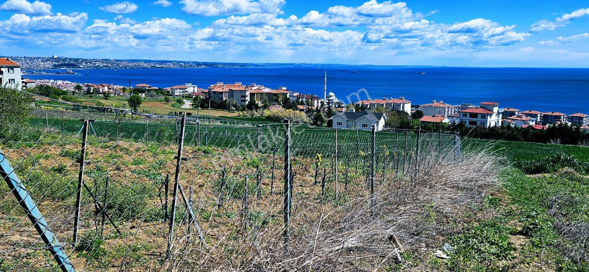 Tamamen Full Deniz Doğa Ve Şehir Manzaralı 44 Dairelik Kooparetif Ve Site Projesine Uygun Arsa - Görsel 20