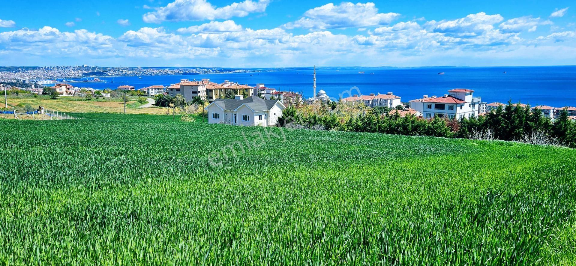 Tamamen Full Deniz Doğa Ve Şehir Manzaralı 44 Dairelik Kooparetif Ve Site Projesine Uygun Arsa - Görsel 13