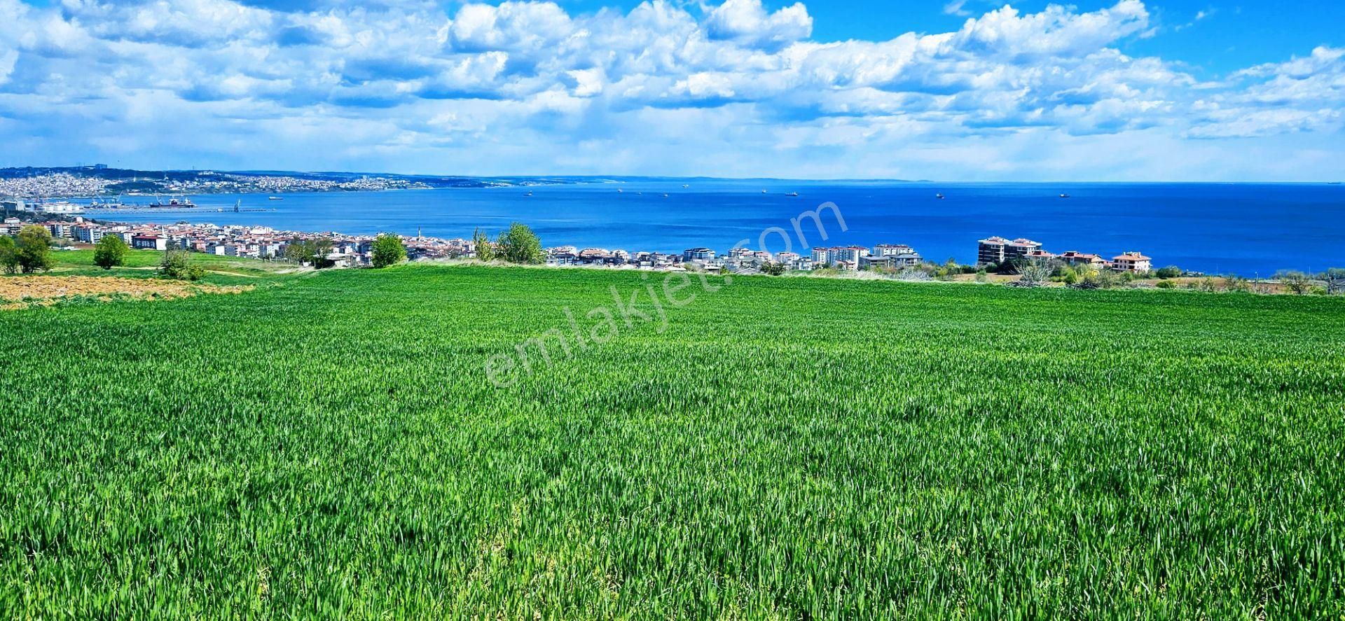 Tamamen Full Deniz Doğa Ve Şehir Manzaralı 44 Dairelik Kooparetif Ve Site Projesine Uygun Arsa - Görsel 24