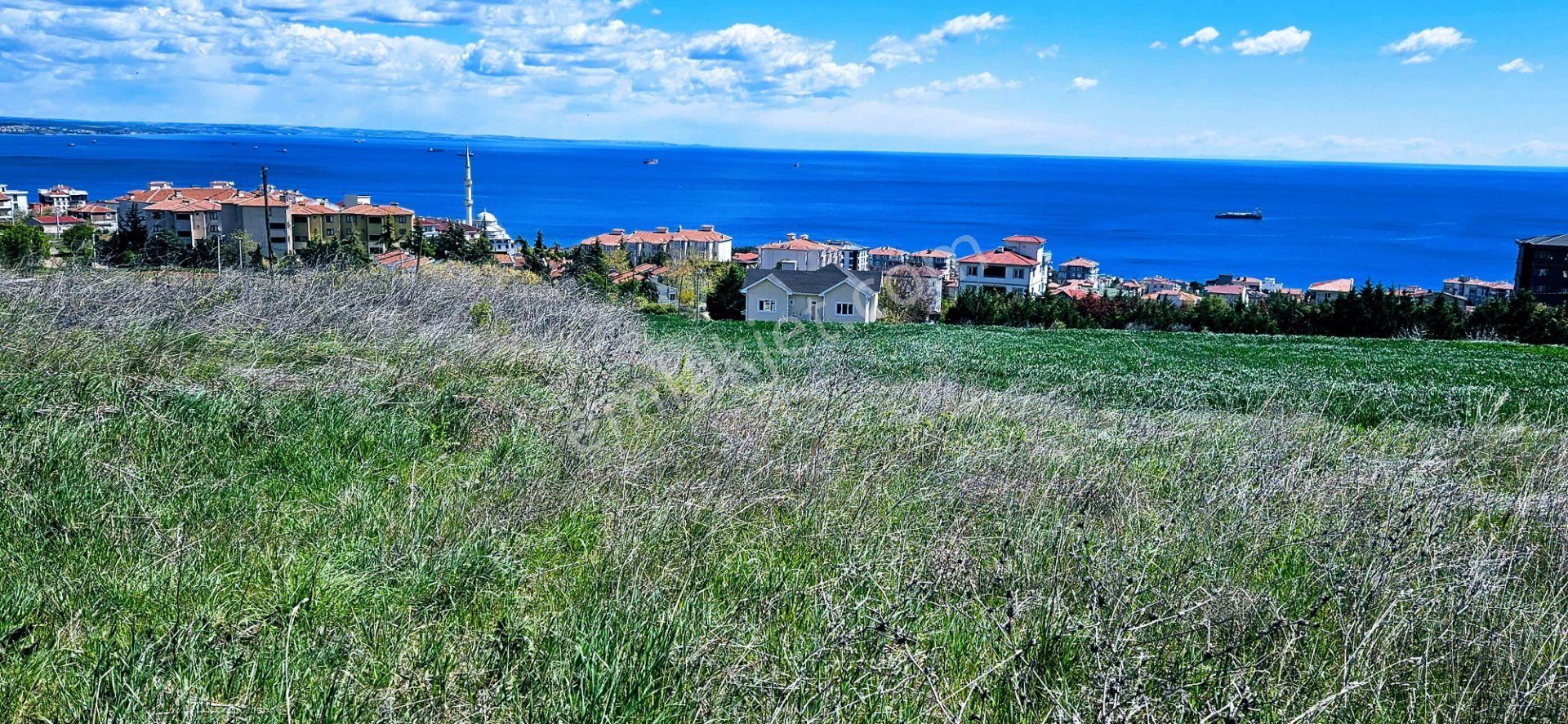 Tamamen Full Deniz Doğa Ve Şehir Manzaralı 44 Dairelik Kooparetif Ve Site Projesine Uygun Arsa - Görsel 17